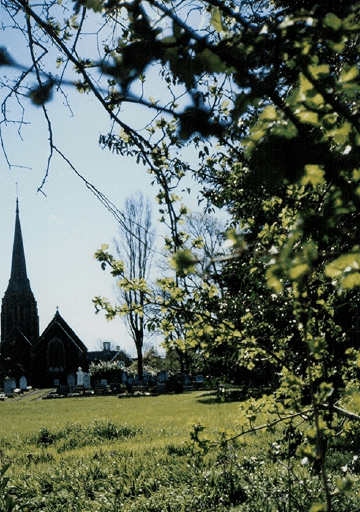 St Mary's, Hagley - image 11