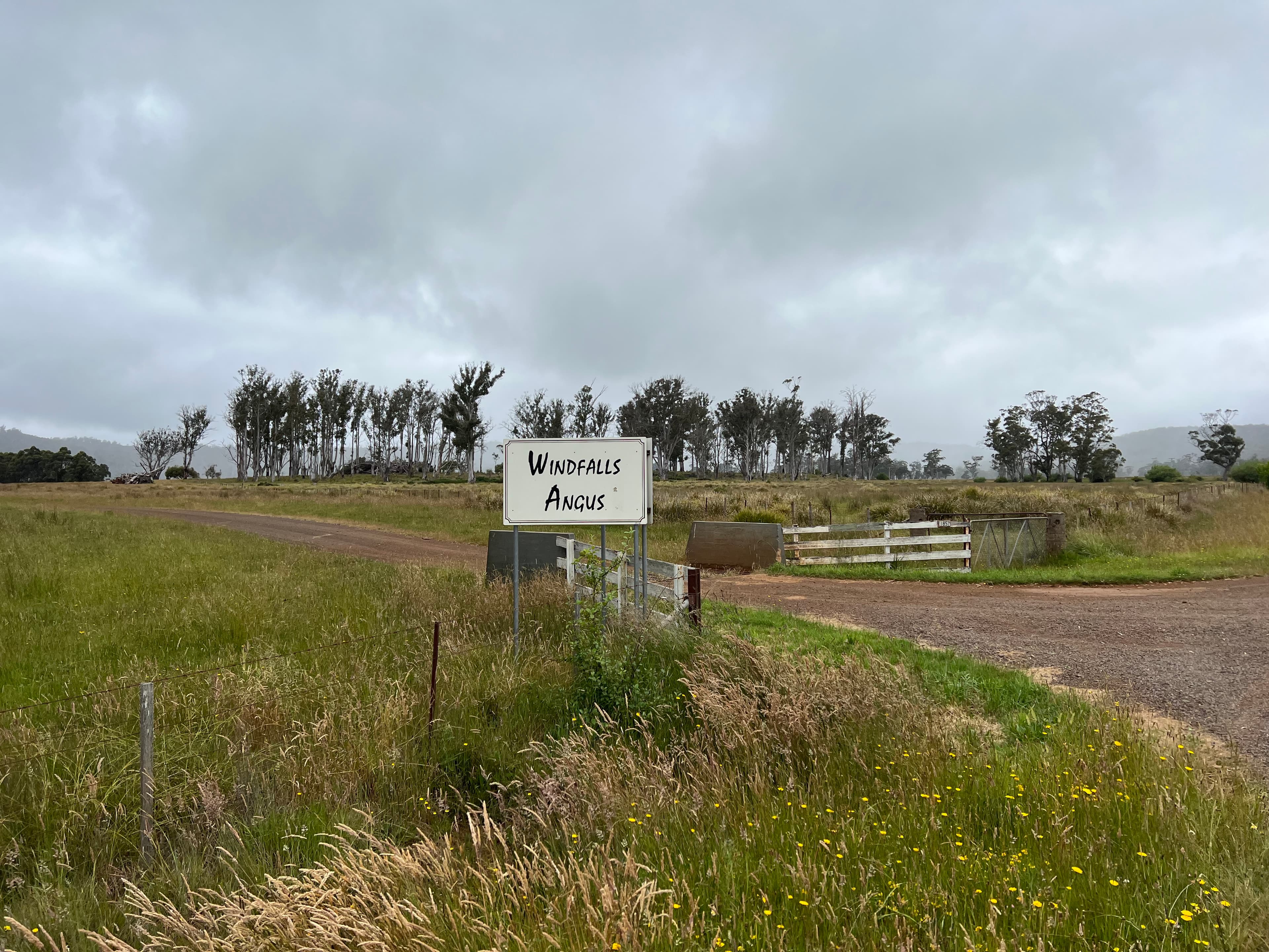 'Windfalls' Estate, Lake Leake, Tasmania