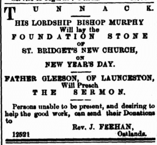 The Mercury newspaper, December 1881