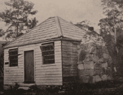 Tasmanian Mail newspaper, 1915