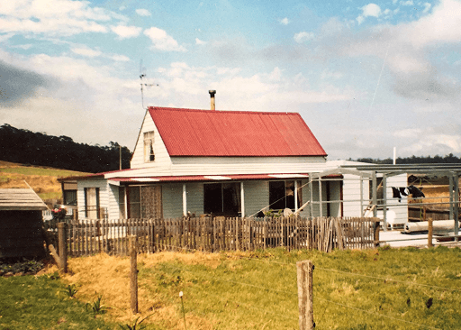 Irishtown, Irishtown