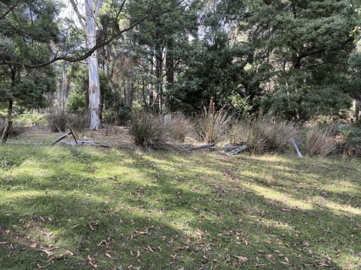 Site of where the St Silas was located, February 2023