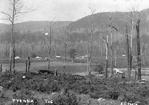 Tyenna Anglican Church, Tyenna
