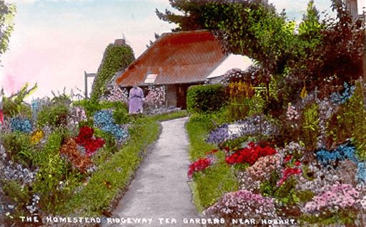 Ridgeway, homestead Tea Gardens (hand-coloured postcard), 1910, Tasmanian Archives