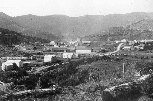 Distant view of Dundas, West Coast. Tasmanian Archives